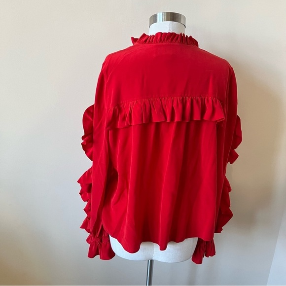 Alexis Rocio 100% silk ruffle blouse 17626 - Picture 13 of 16